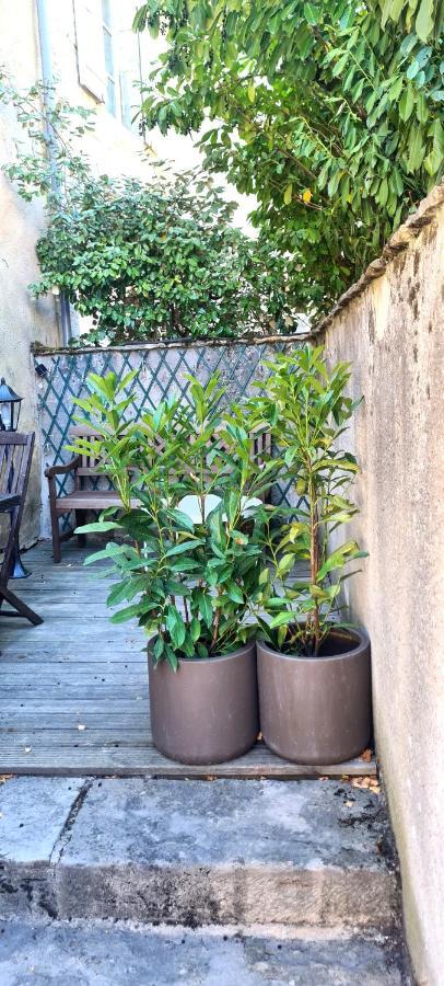 Le Petit Cocon De Chateau Chalon Exterior photo
